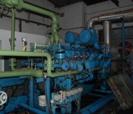 Co Generation Plant